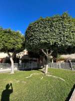 Verasol home bungalow orihuela costa blanca vsh 0405
